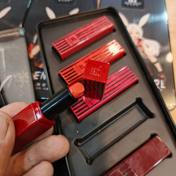 Luxury 5-in-1 Matte Lipstick Gift Set